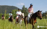 Didim Horse Riding Tour - Experience Nature in the Saddle — 7/11