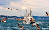 Büyükada ve Heybeliada Turu – Yemekli Günübirlik Gezi — 3/13