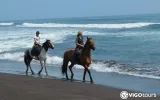 Beach Horseback Riding in Side Turkey | Morning & Sunset — 3/9