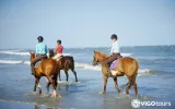 Beach Horseback Riding in Side Turkey | Morning & Sunset — 4/9