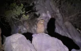 Night observation of Brown Fish owls near Manavgat — 6/9
