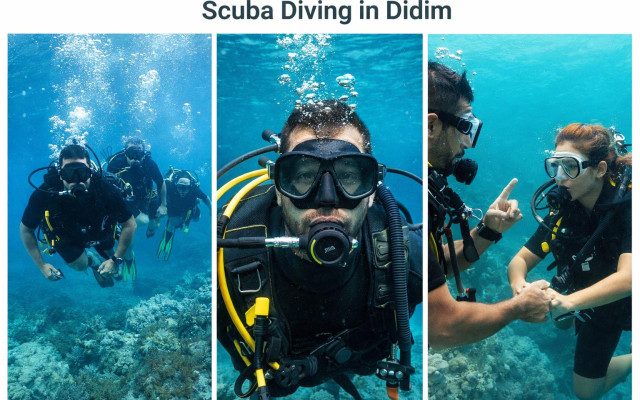 Scuba Diving in Didim - Explore the Underwater World