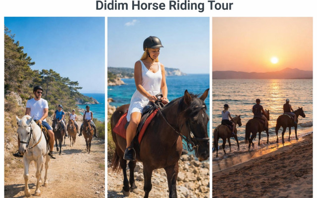Didim Horse Riding Tour - Experience Nature in the Saddle