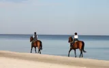 Reittour in Belek durch Pinienwald, Dünen und bis zum Strand — 7/9
