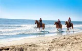 Reittour in Belek durch Pinienwald, Dünen und bis zum Strand — 8/9