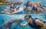 Swim with Dolphins in Kemer – Best Experience Deal — 11/13