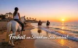 Beach Horseback Riding in Side Turkey | Morning & Sunset — 8/9