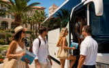 Side Dolphin Island Boat Tour, Turtle Bay and Swimming Stops — 2/11