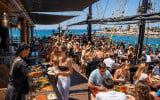 Side Dolphin Island Boat Tour, Turtle Bay and Swimming Stops — 5/11
