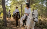 Reitausflug in Lara: Wald, Sanddünen und Fotopause am Strand — 10/11